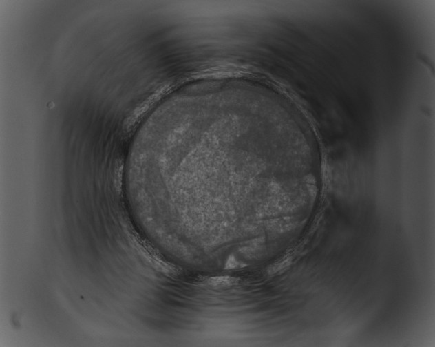 X0000103220153200809251144