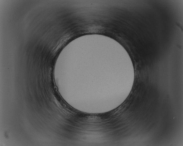 X0000103220154200809251144