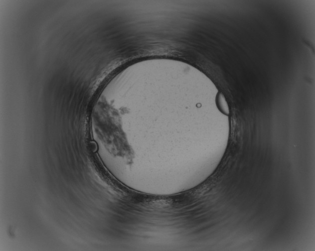 X0000103220156200809251144