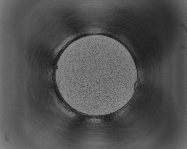 X0000103220159200809251144