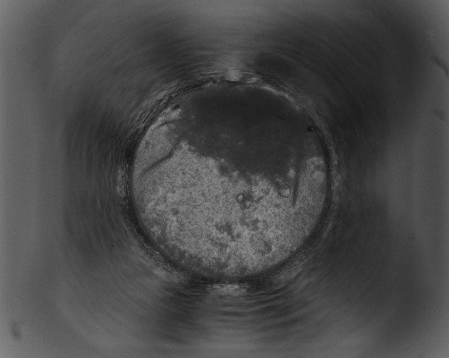 X0000103220161200809251144