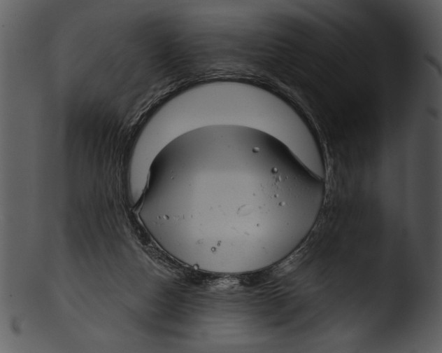 X0000103220162200809251144