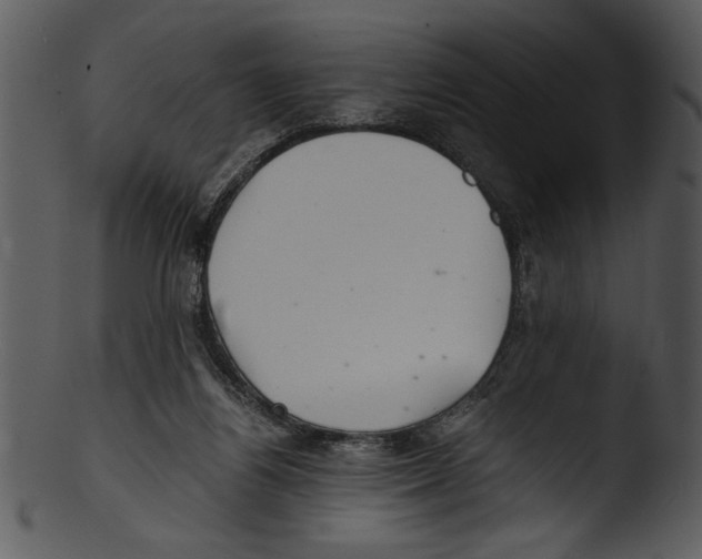 X0000103220164200809251144