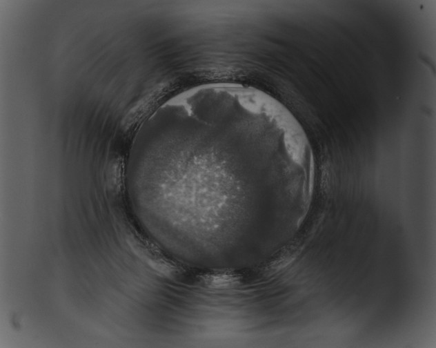 X0000103220165200809251144