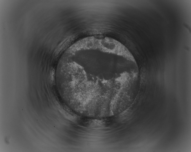 X0000103220166200809251144