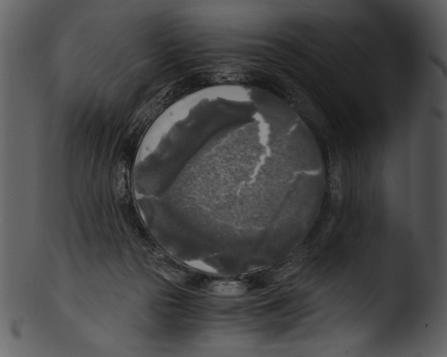 X0000103220169200809251144