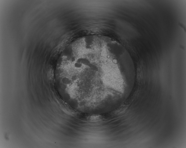 X0000103220173200809251144