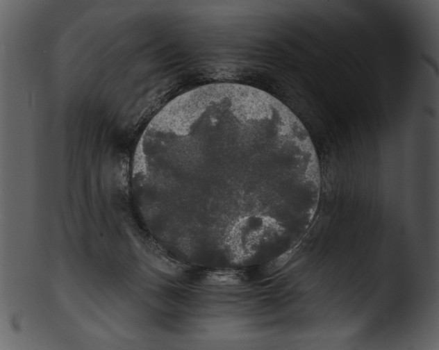 X0000103220175200809251144