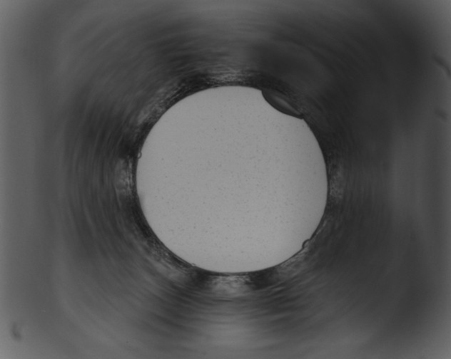 X0000103220179200809251144