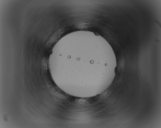 X0000103220180200809251144