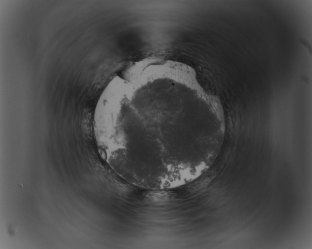 X0000103220181200809251144