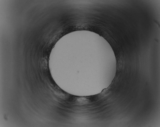 X0000103220183200809251144