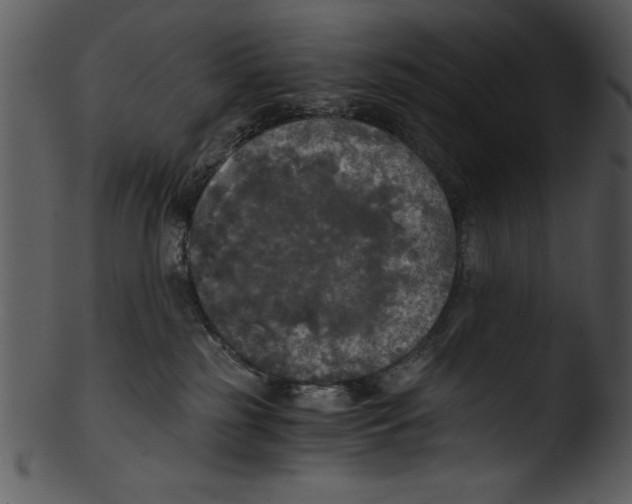 X0000103220185200809251144