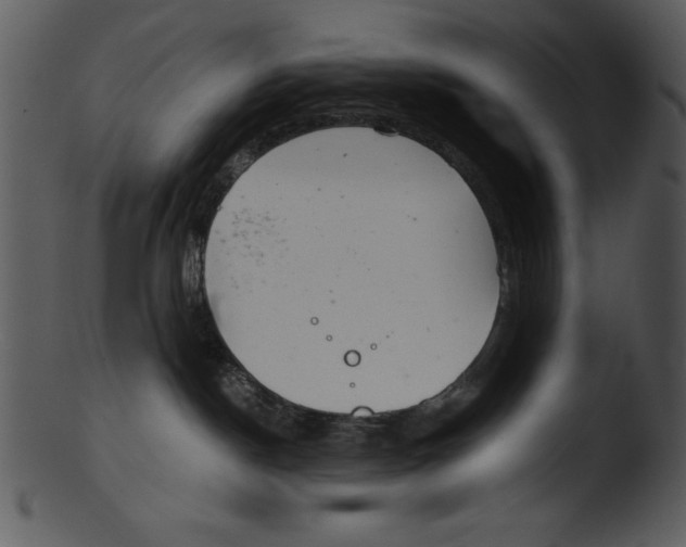 X0000103220190200809251144