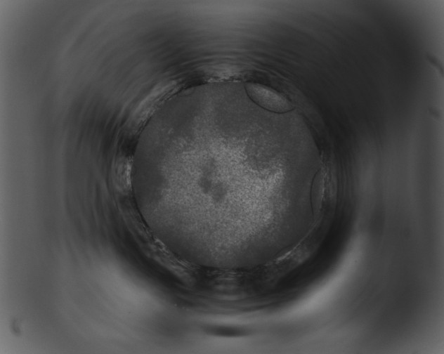 X0000103220191200809251144