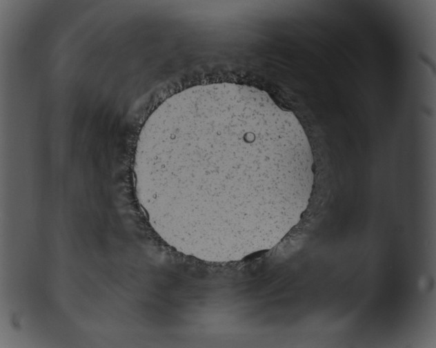 X0000103220192200809251144