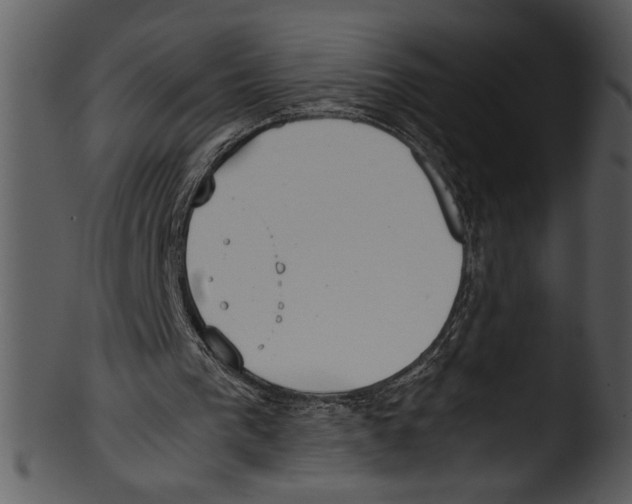 X0000103220193200809251143