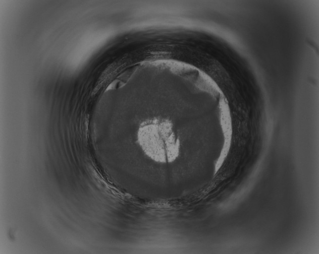 X0000103220194200809251143