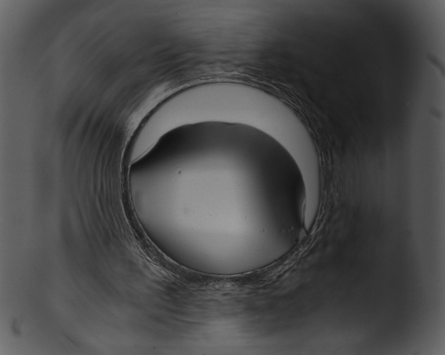 X0000103220195200809251143