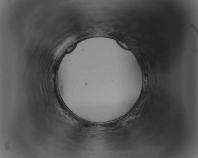 X0000103220197200809251143