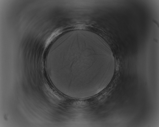 X0000103220198200809251143