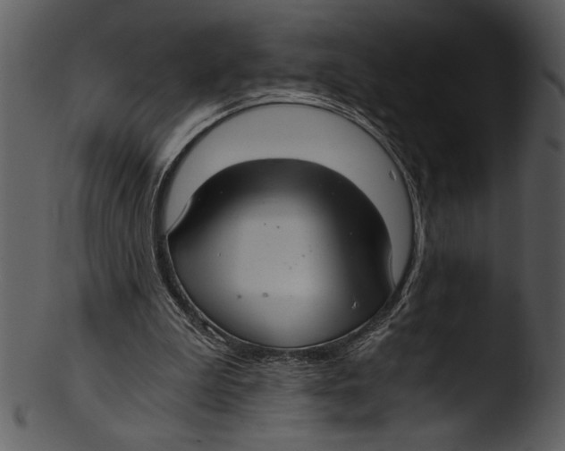 X0000103220199200809251143