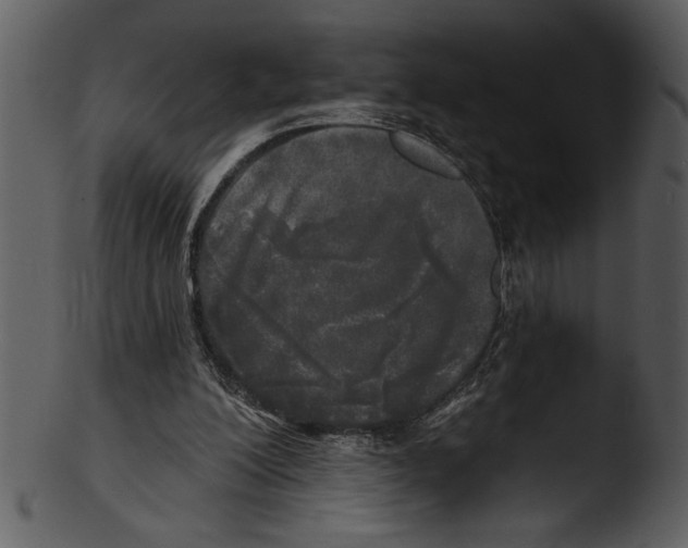 X0000103220200200809251143