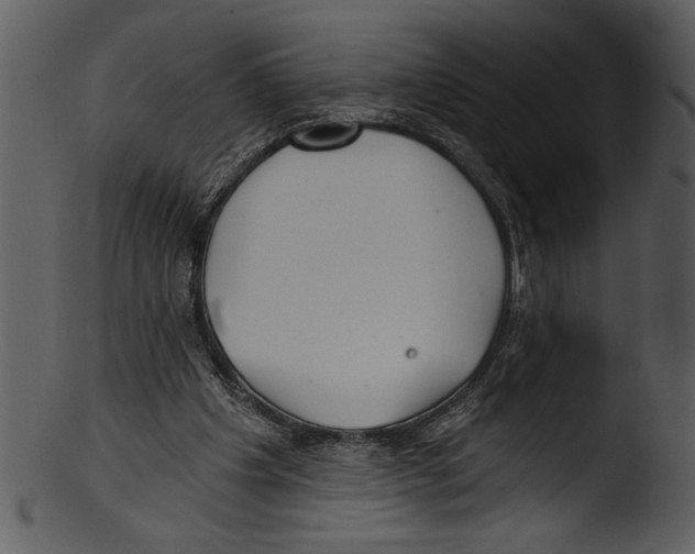 X0000103220201200809251143