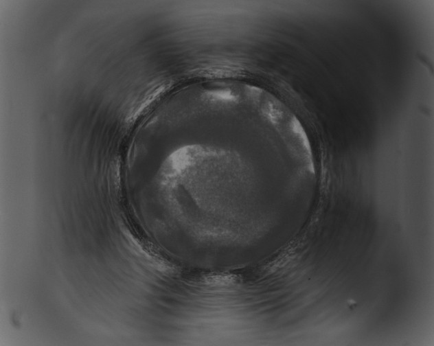 X0000103220202200809251143