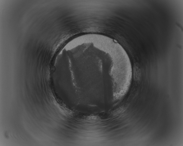 X0000103220204200809251143