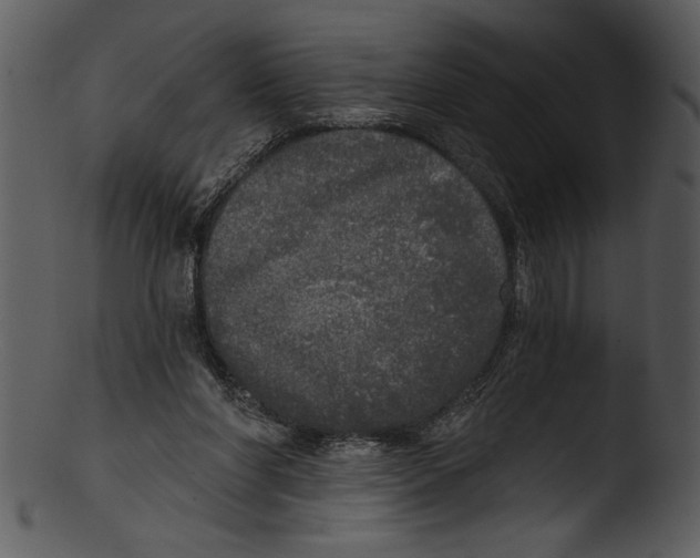 X0000103220206200809251143