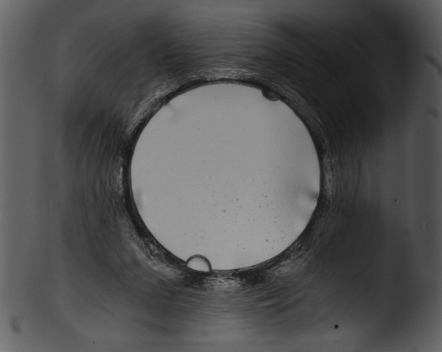 X0000103220207200809251143