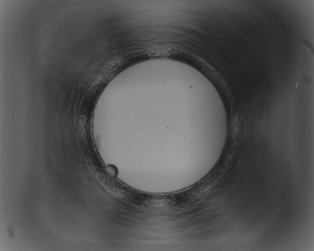 X0000103220209200809251143