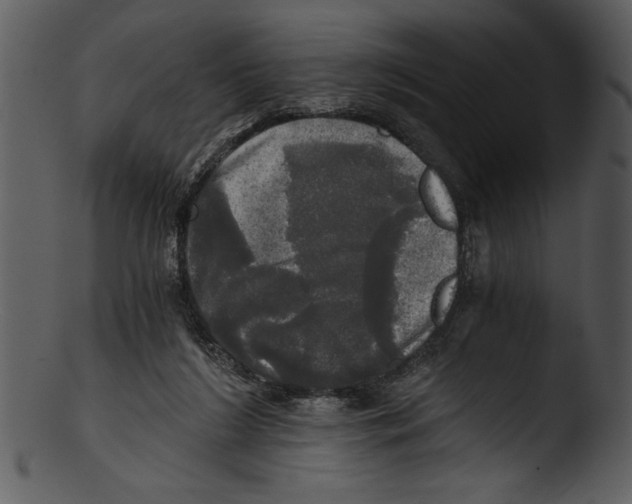 X0000103220212200809251143