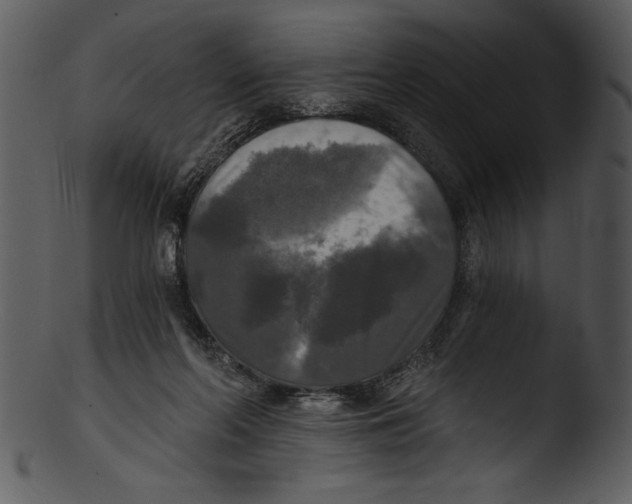 X0000103220214200809251143