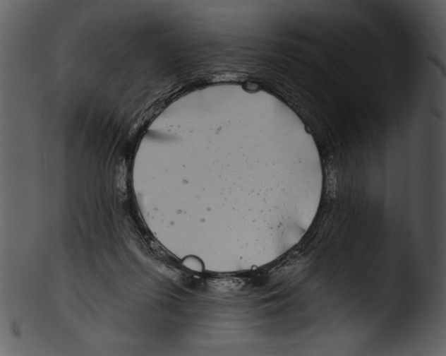 X0000103220215200809251143