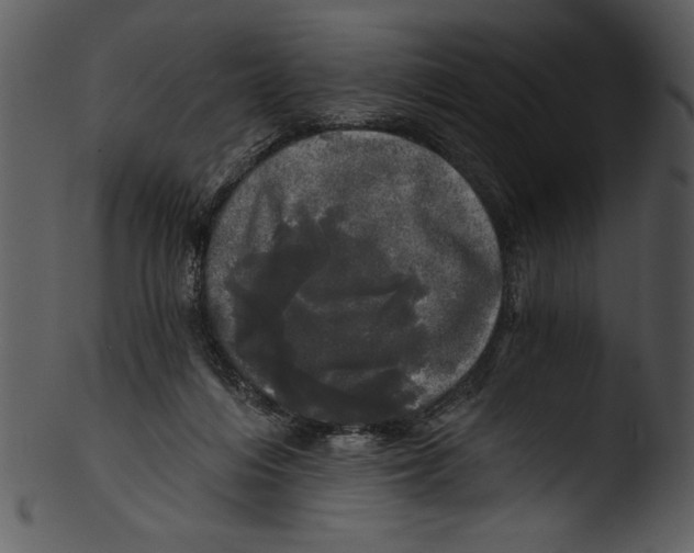 X0000103220216200809251143