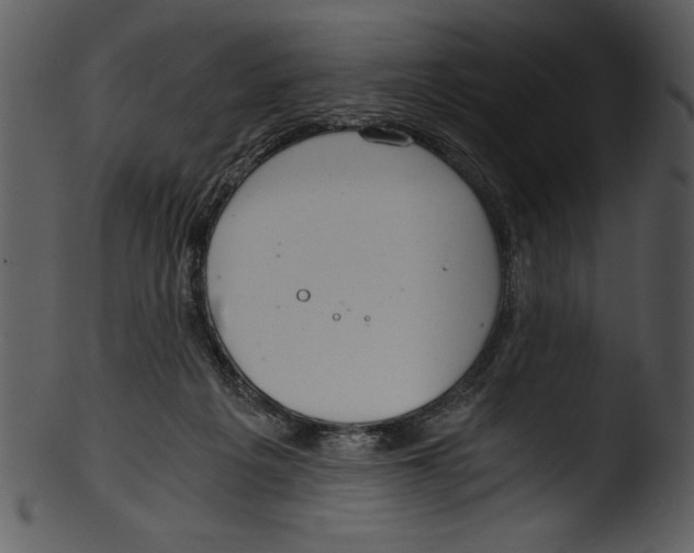 X0000103220217200809251143