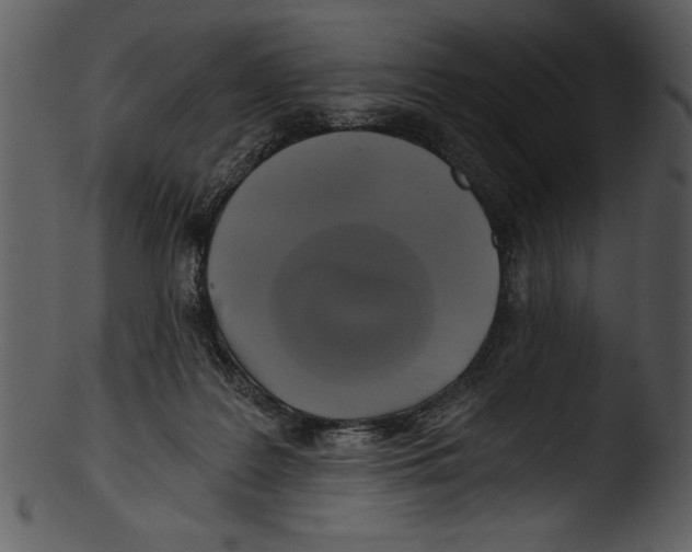 X0000103220219200809251143