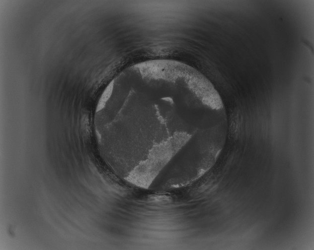 X0000103220220200809251143