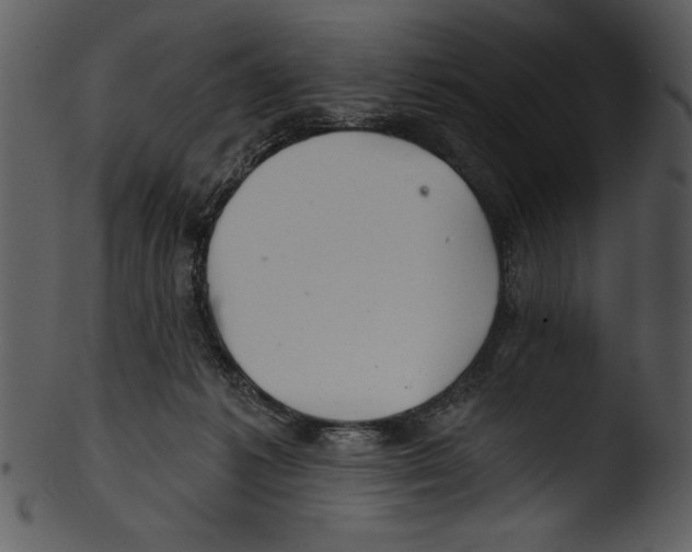 X0000103220221200809251143