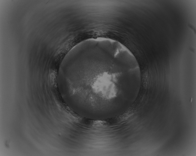 X0000103220222200809251143