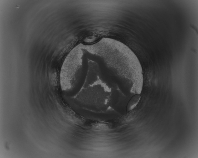 X0000103220224200809251143