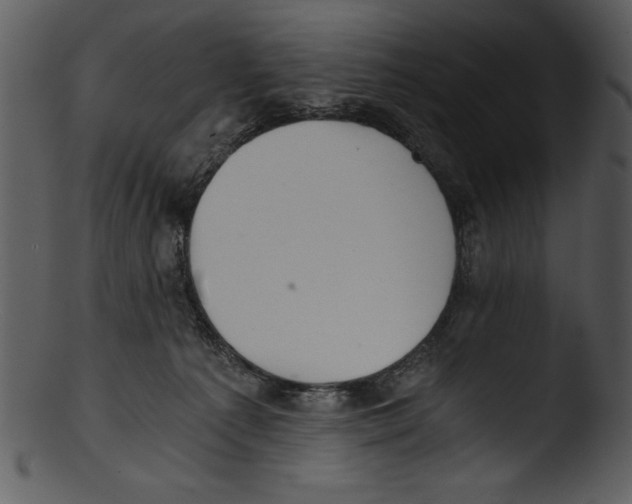 X0000103220225200809251143