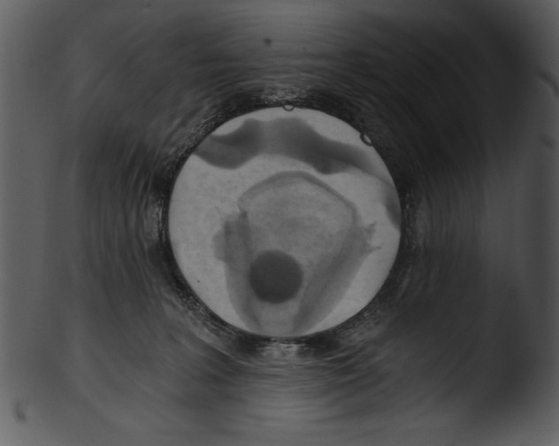 X0000103220227200809251143