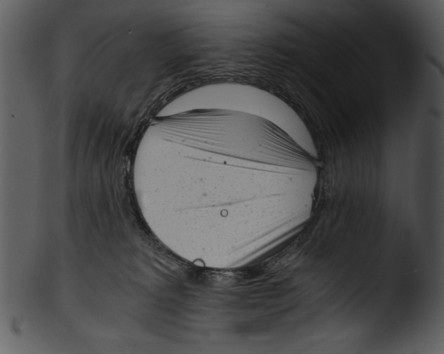 X0000103220229200809251143