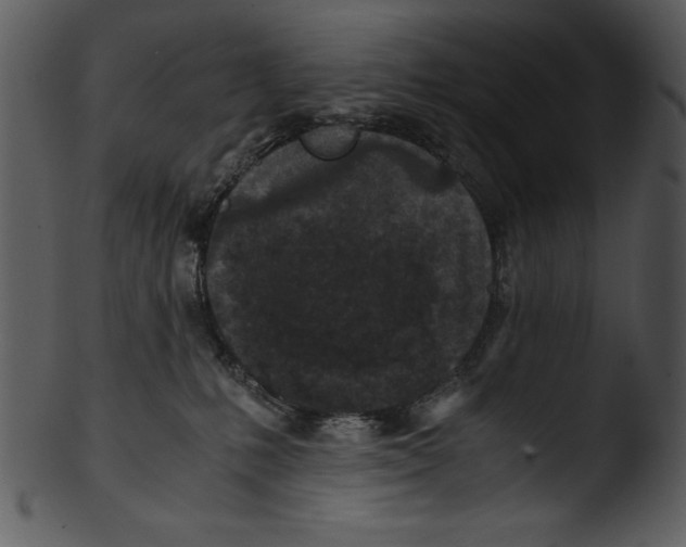 X0000103220231200809251143