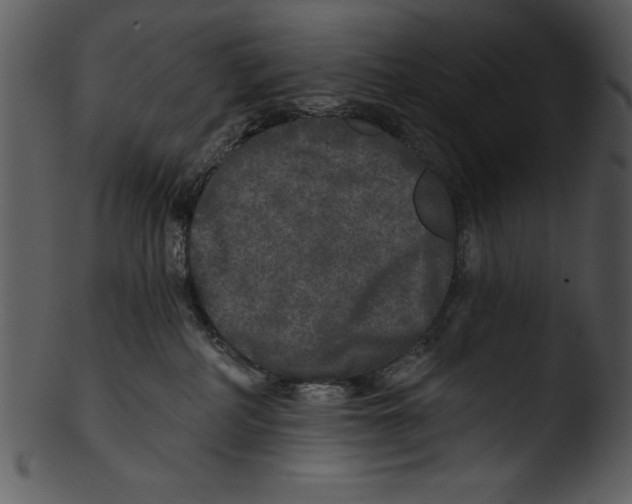 X0000103220234200809251143