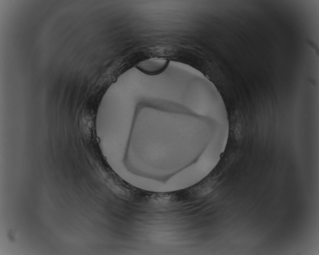 X0000103220235200809251143