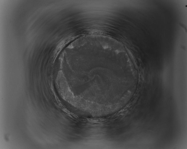 X0000103220241200809251142